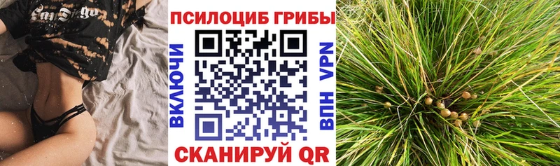 Купить  Лысьва  Псилоцибиновые грибы Cubensis 